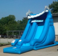 Dolphin Inflatable Water Slide inflatable